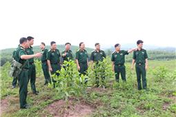 Quân khu kiểm tra công tác trồng, chăm sóc, bảo vệ rừng của Trường bắn Quốc gia khu vực 1